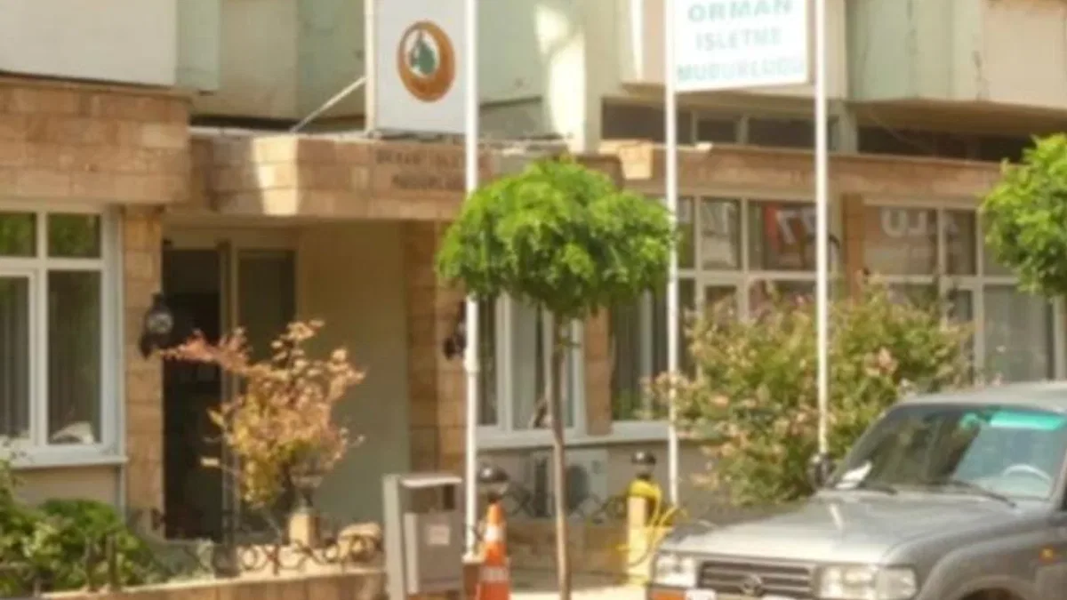 Orman İşletmesi Müdürlüğü’nün satış ihalesine katılan olmadı