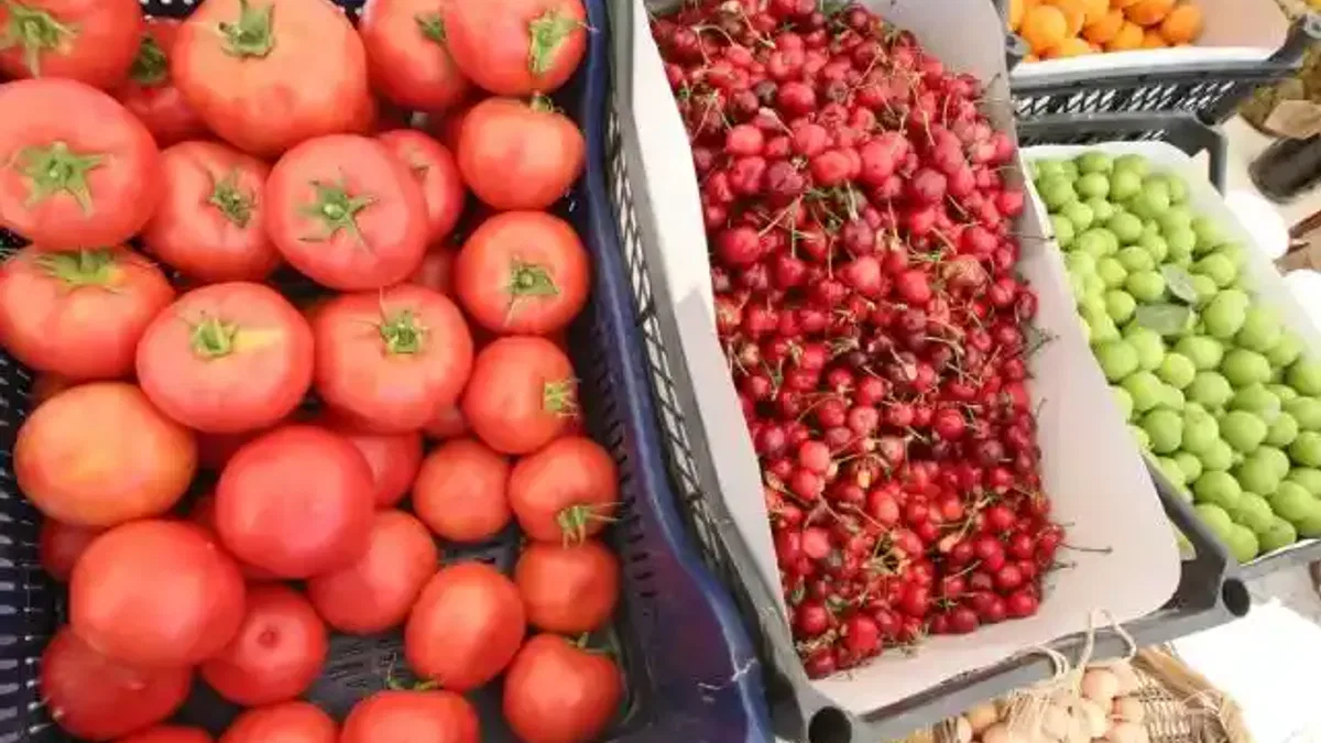 Efes Tarlası Yaşam Köyü’nde Üretici Pazarı 19 Ekim'de kapılarını açıyor