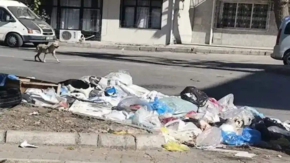 İzmir Buca’da çöp krizi! Mahalleler çöplüğe döndü, vatandaşlar isyanda