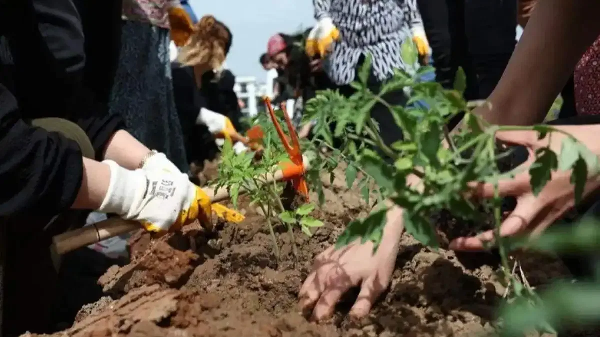 Kadın Kent Bostanı’nda fideler toprakla buluştu
