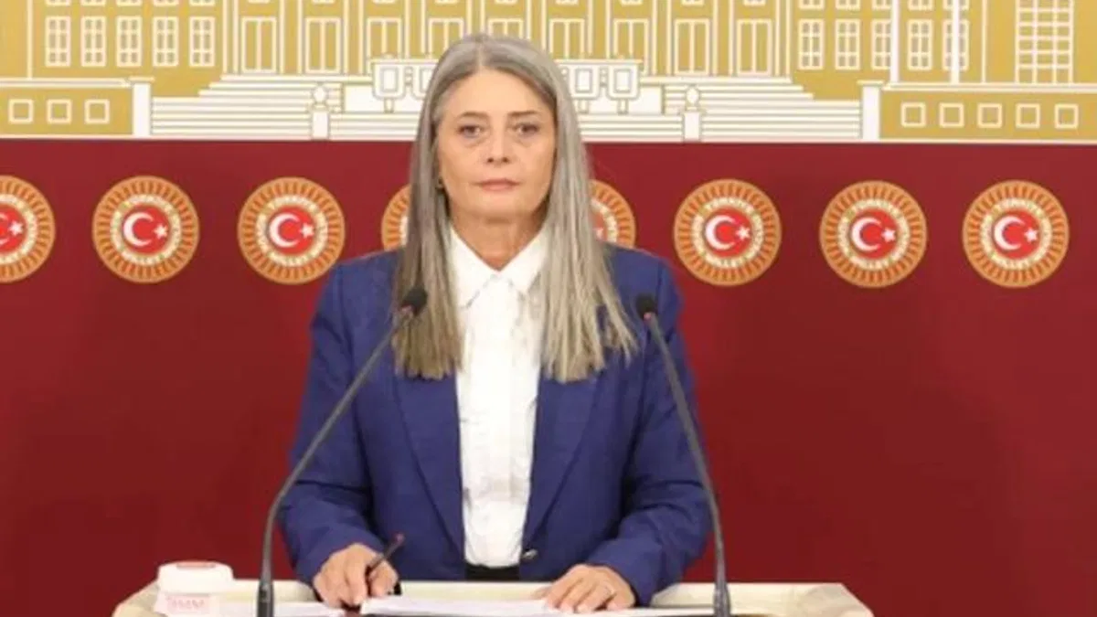 CHP'li Suiçmez'den Sağlık Bakanlığı'na 'doğum' tepkisi