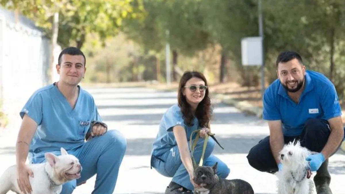 İzmir’de el konulan 20 cins köpek sahiplendirilecek