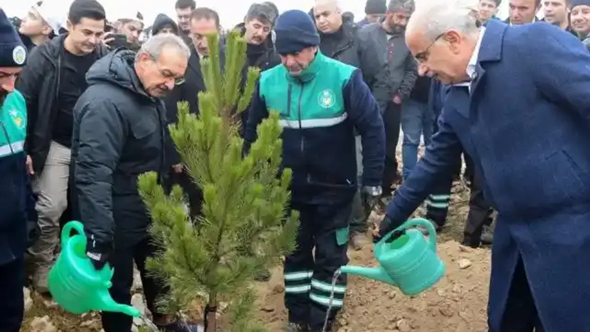 Malatya Beydağı’nda 10 bin 444 fidan toprakla buluştu