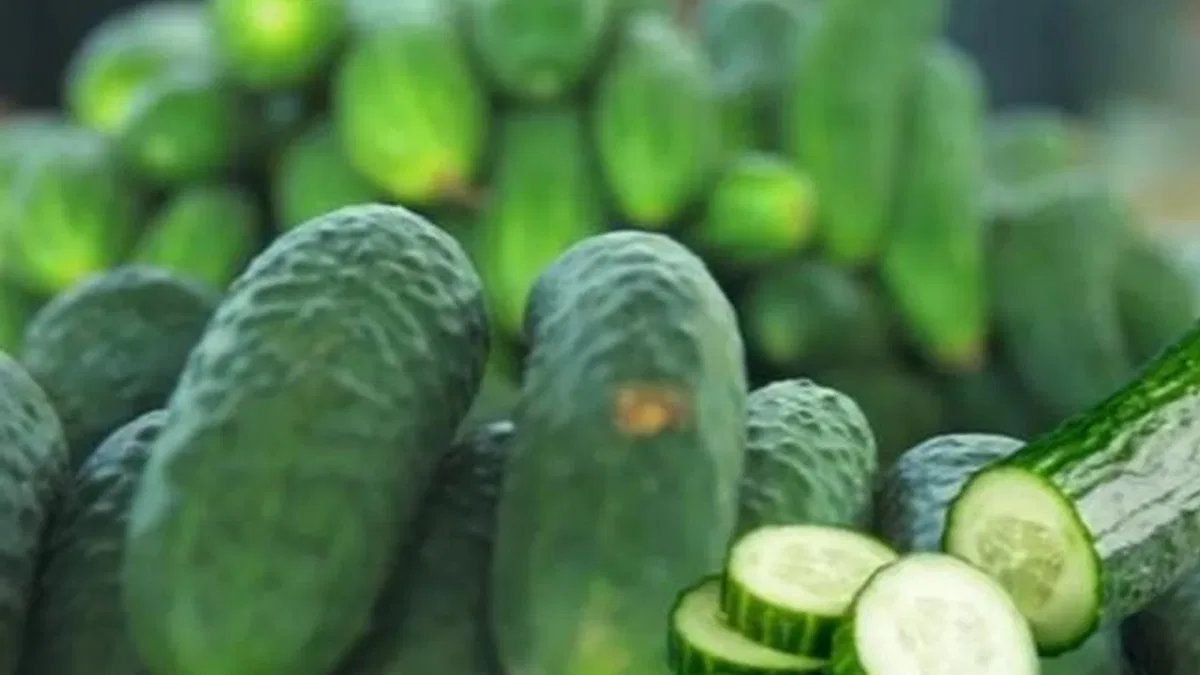 ABD’de salmonella alarmı! O salatalıklar toplatılıyor!