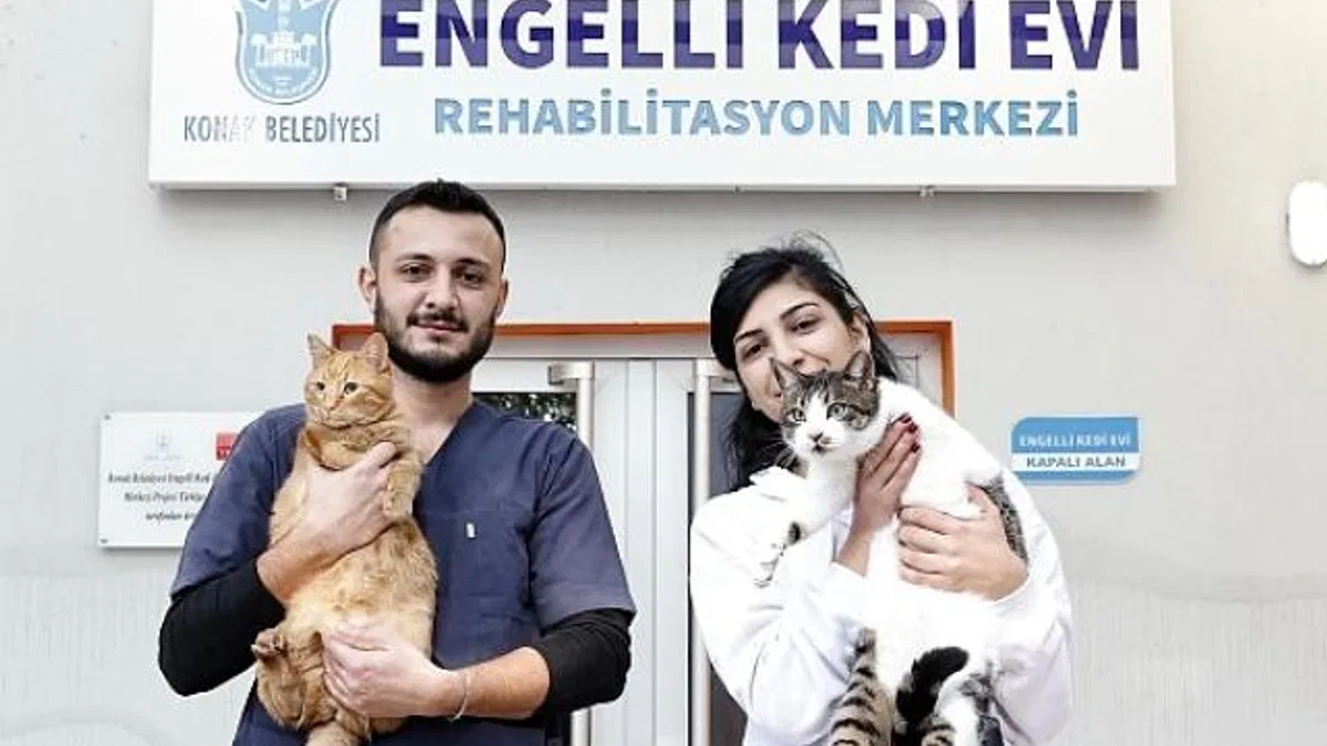 Konak'ın engelleri aşan Kedi Evi'nden sahiplenme çağrısı