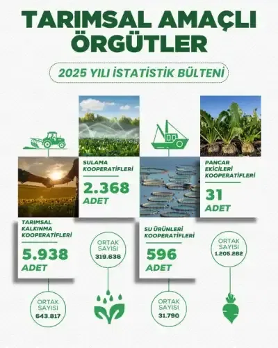 Haber Detayı