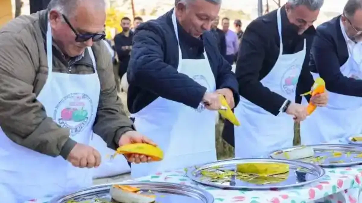 Bilecik'te Kızıldamlar Kestane Kabağı Festivali yapıldı
