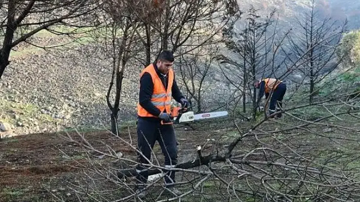Çiğli Belediyesi Orman Yangınının İzlerini Silmek İçin Seferber Oldu