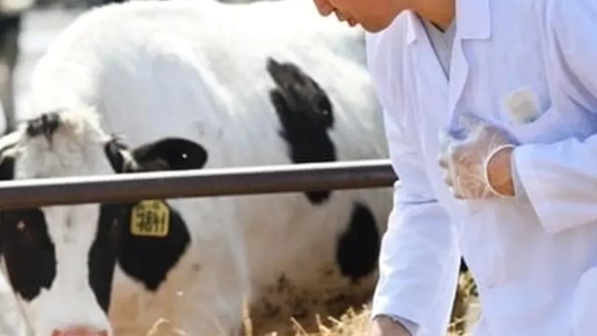 Tarımsal girdi Mart'ta yükseldi... Veteriner harcamaları revaçta