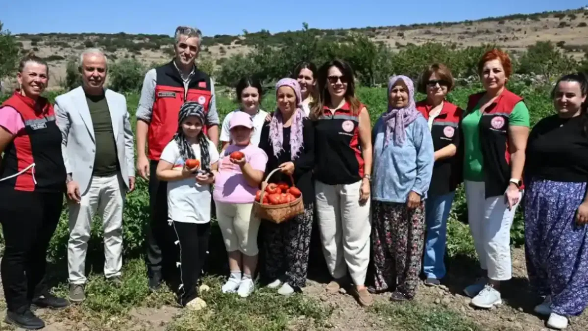 Yamanlar Tarla Domatesi için üreticilerle tarlada buluşuldu