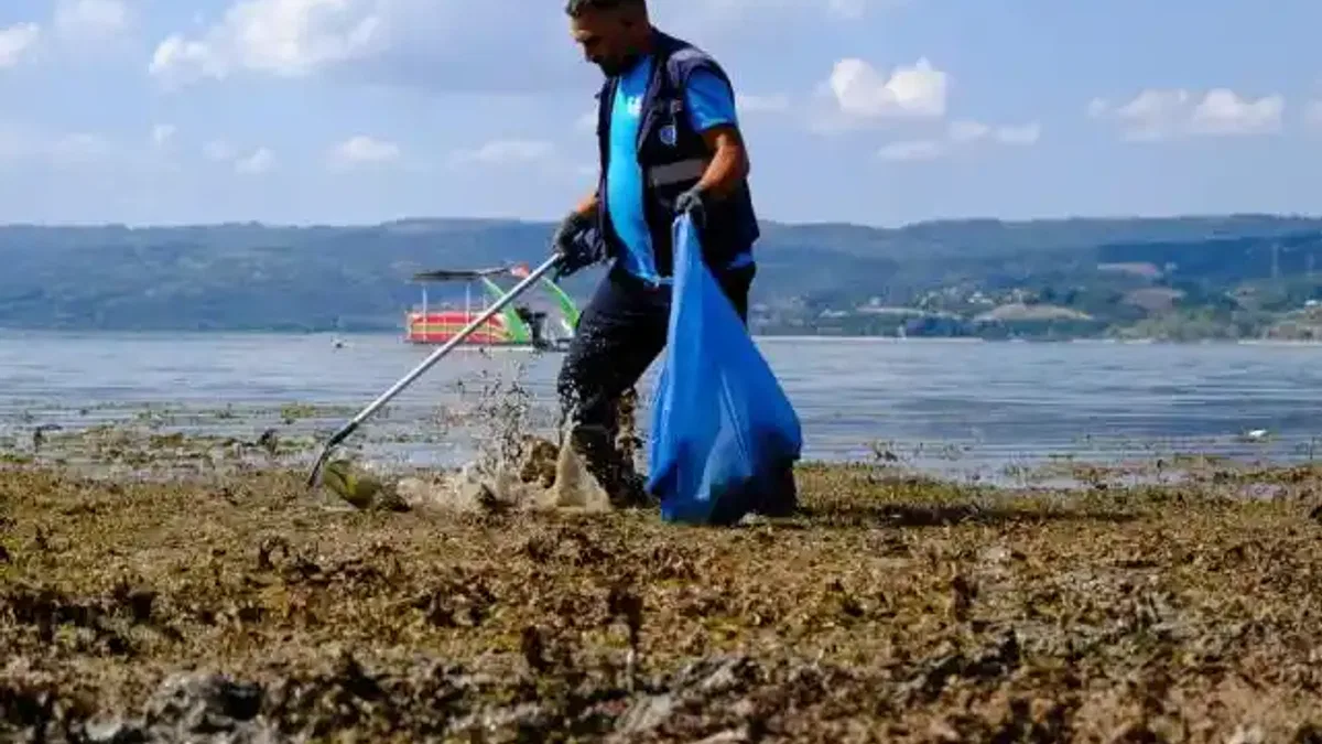 Sapanca çevresinden 2 ton çöp çıktı