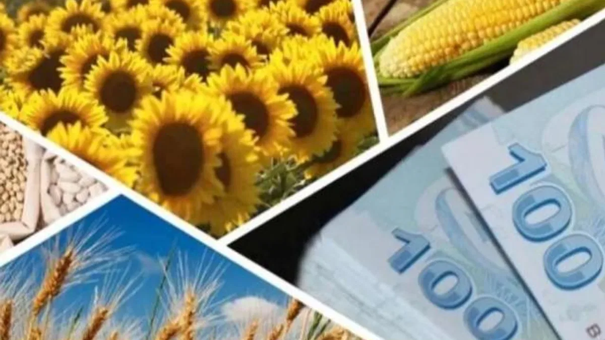 4,3 milyar TL'lik tarımsal destekler hesaplarda
