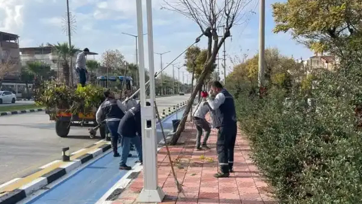 Manisa'da budama çalışmaları sürüyor