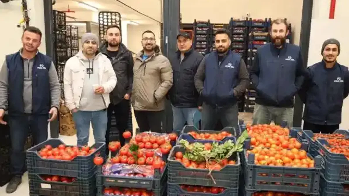 Gebze'de Batı Sebze Meyve Hali faaliyette