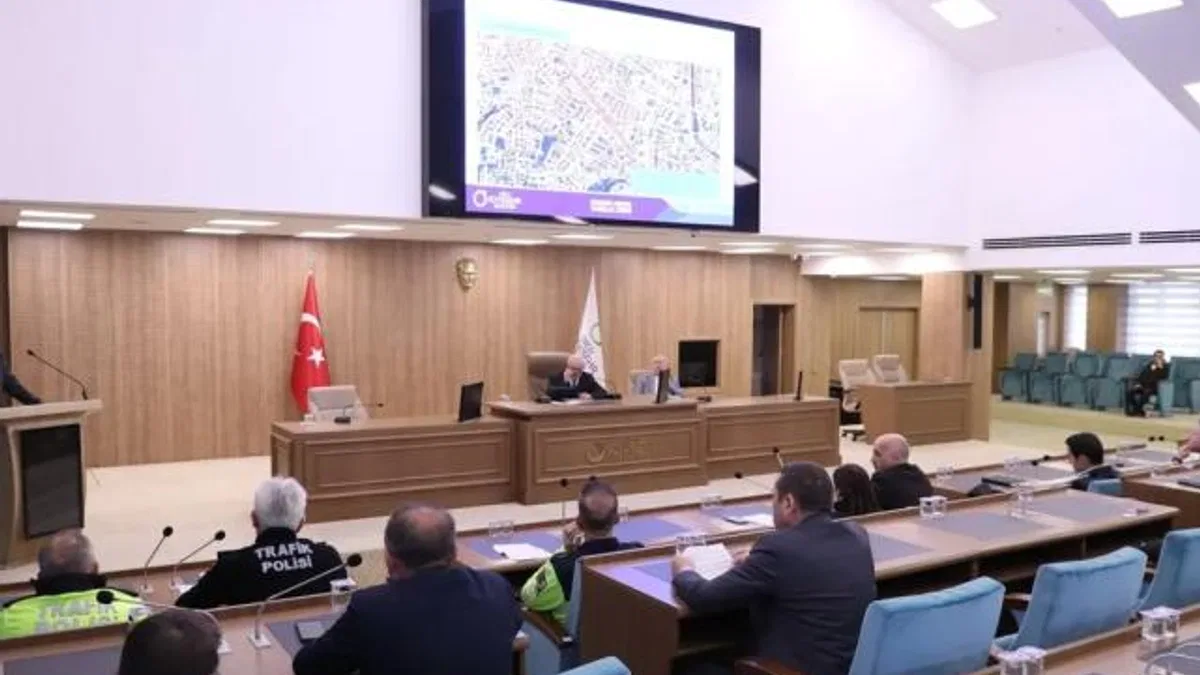 Ordu Altınordu'da bazı caddeler ücretli otopark oldu