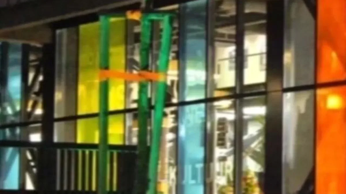 Ressam Devrim Erbil’in eserleri Sakarya'da sergilenecek