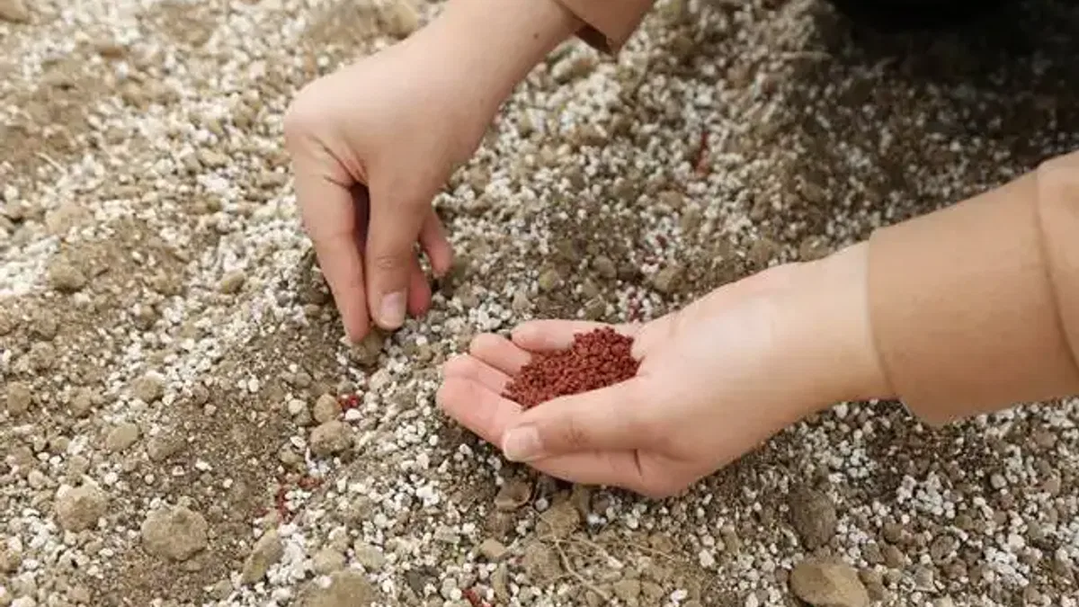Konya Şeker pancar testlerinde dünya liginde!