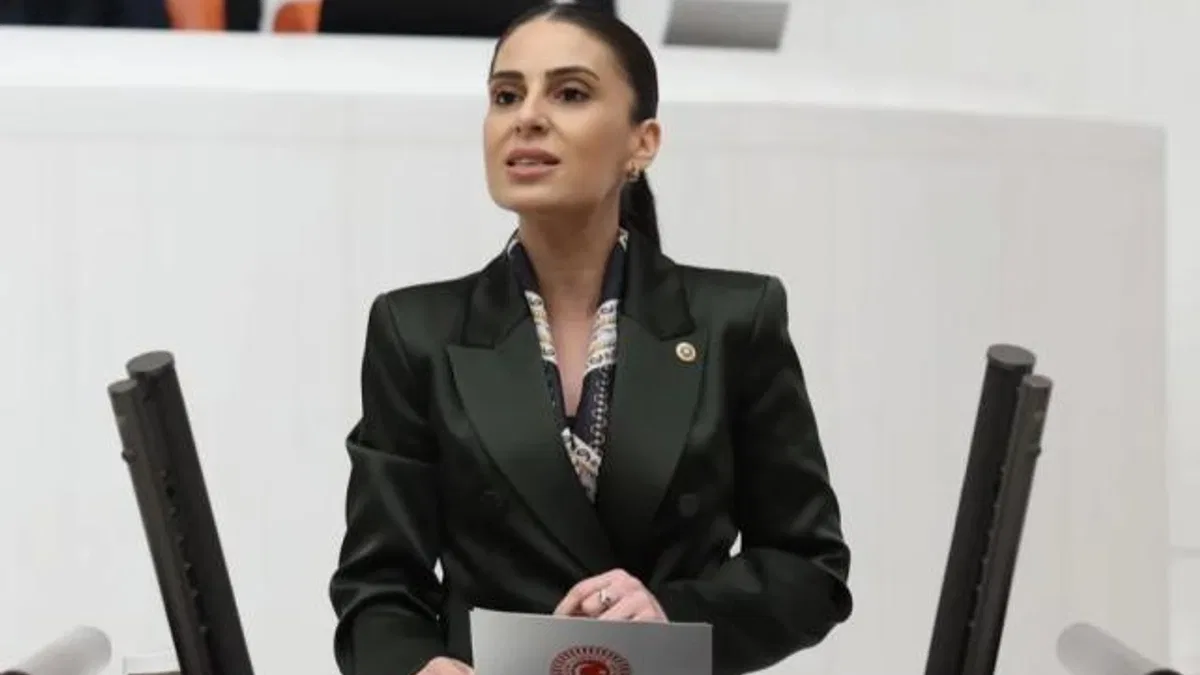 Milletvekili Özcan'dan sokak hayvanları için Bakan Yumaklı’ya önerge