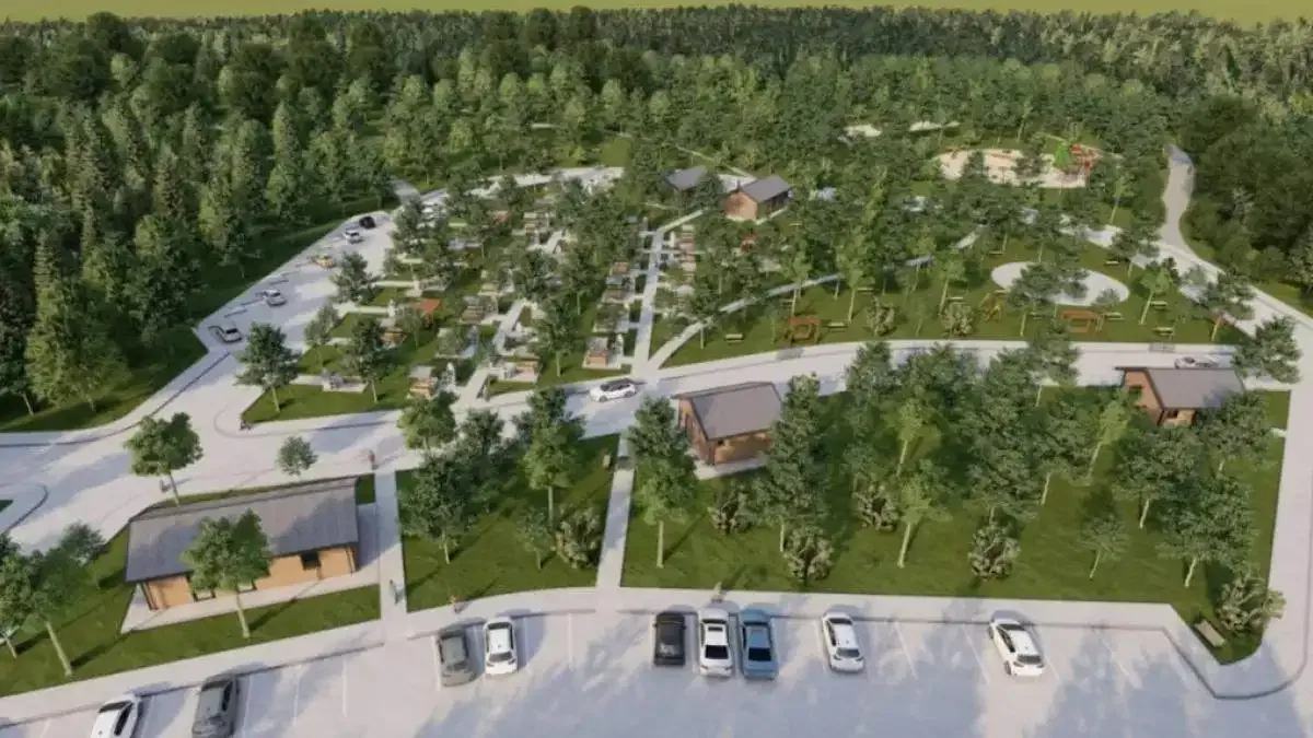 Sakarya'da 80 dönüm üzerine doğa projesi