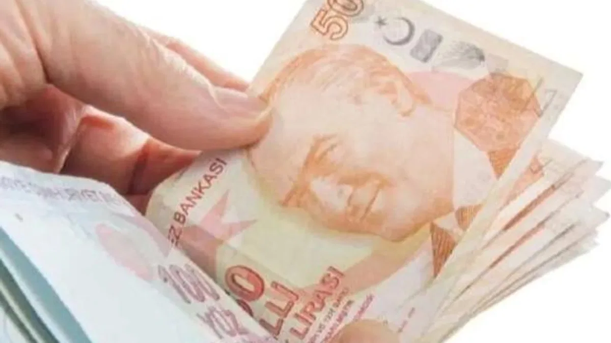 5,6 milyar TL'lik yaşlı ve engelli aylıkları hesaplarda