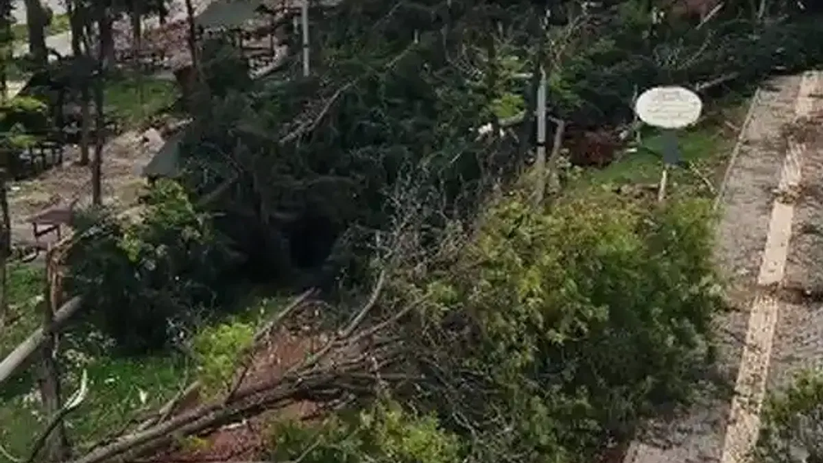 Gaziantep'e 50 milyon TL aktarıldı