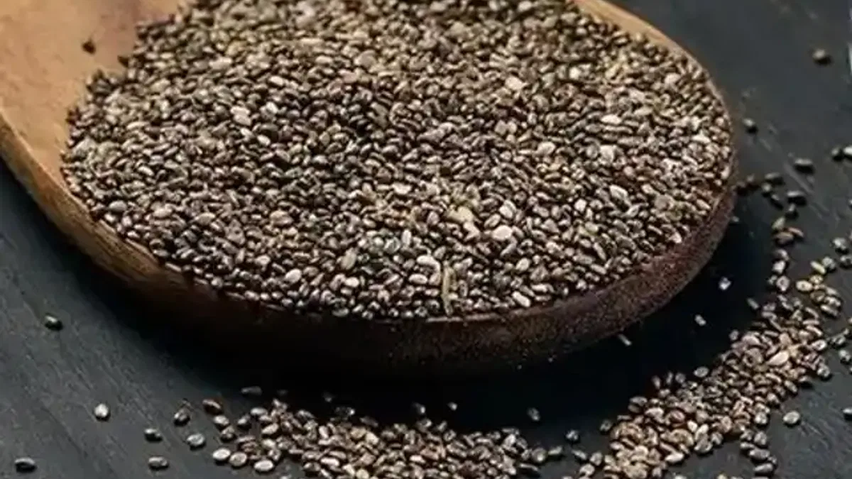Uzmanından 'chia tohumu' uyarısı! Chia'yı bol sıvıyla tüketin