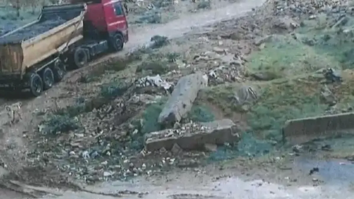 Kocaeli Encümeni ceza yağdırdı... Doğa katliamına 7,5 milyon TL ceza