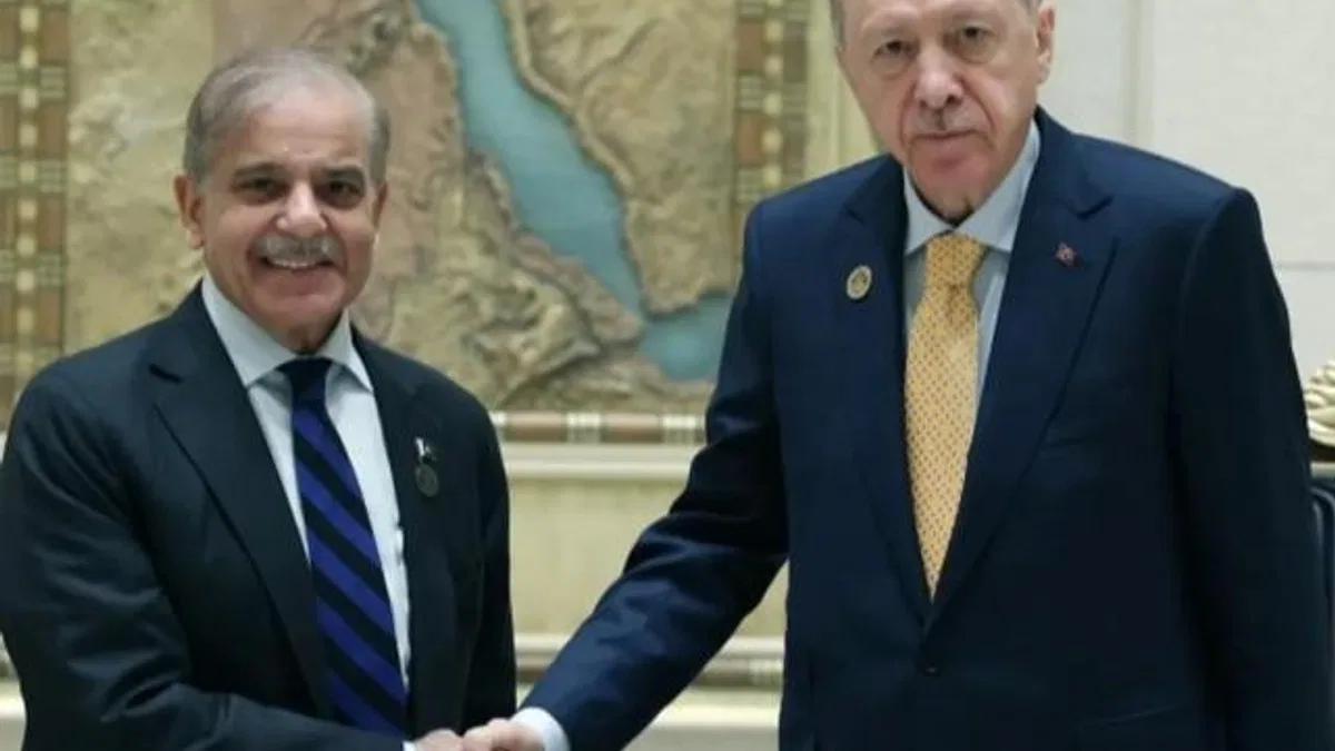Cumhurbaşkanı Erdoğan Pakistan Başbakanı Şerif ile görüştü