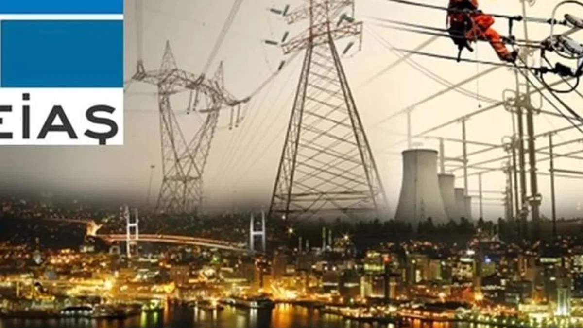 Elektrik piyasasında yan hizmetlerde yetki TEİAŞ’a devredildi