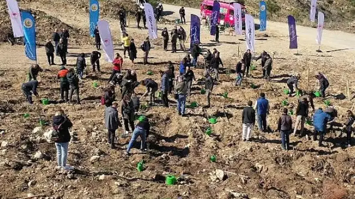 'Her Fidan Bir Umut' projesiyle 1 milyon fidan toprakla buluştu