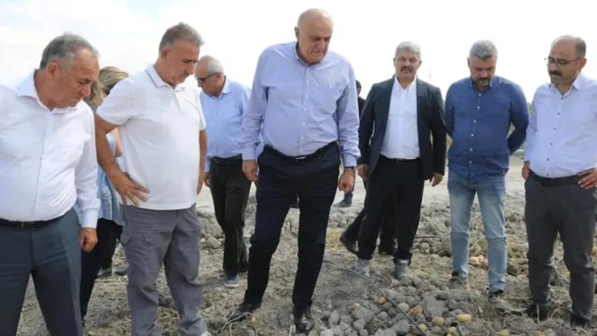 Konya Şeker'den yerli patates tohumu müjdesi... 2027'de dışa bağımlılık bitecek