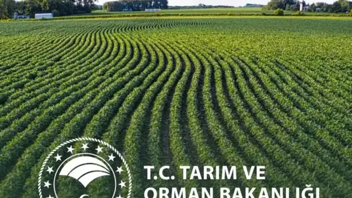 Yeni yılda kırsal kalkınmada destekler artıyor