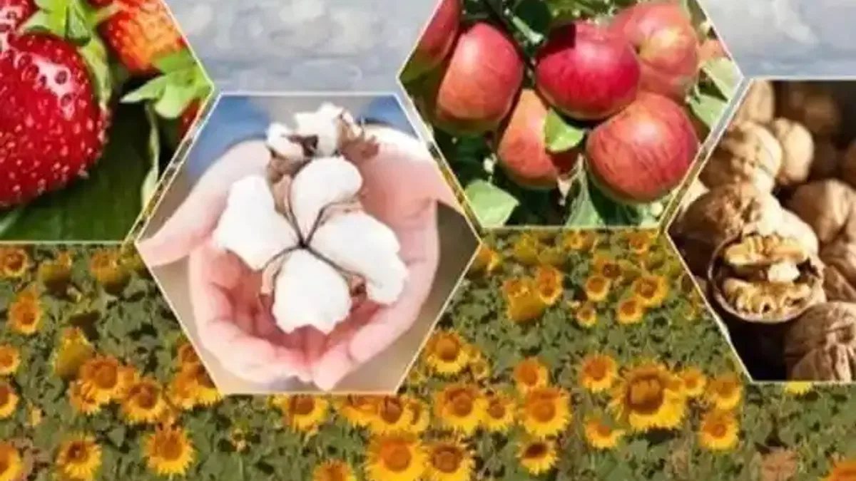 Tarımda zor yıl beklentisi!