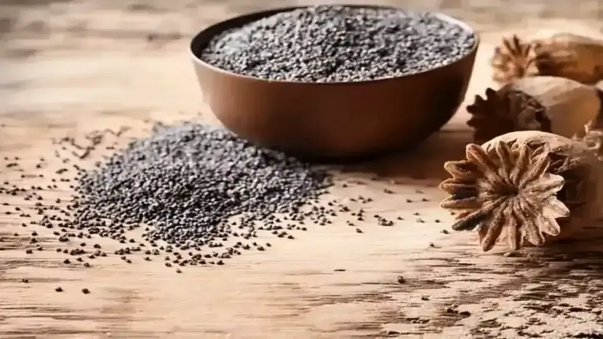 Haşhaş alım fiyatları belli oldu... Başvurular 30 Ekim’de sona erecek