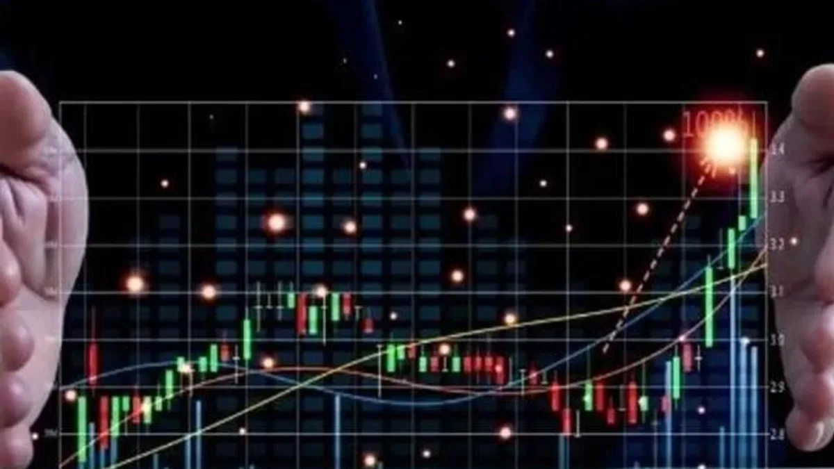 2023'te 20 bin 110 mali aracı kuruluş faaliyette bulundu