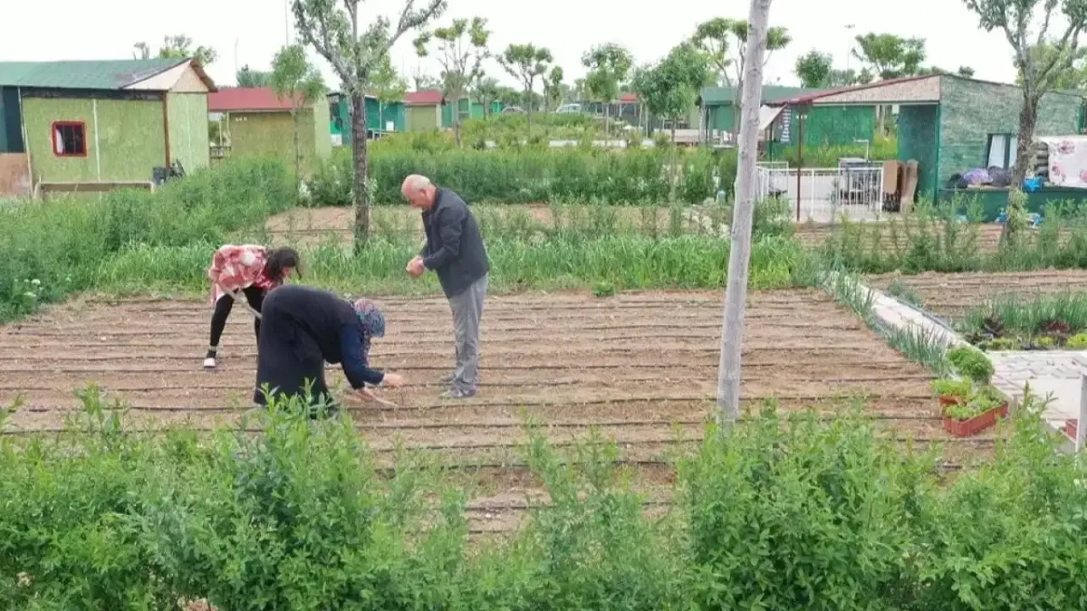 Kanun değişti ve hobi bahçesi dönemi sona erdi!
