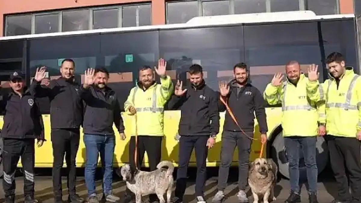 İETT'nin patili dostlar ailesi büyüyor