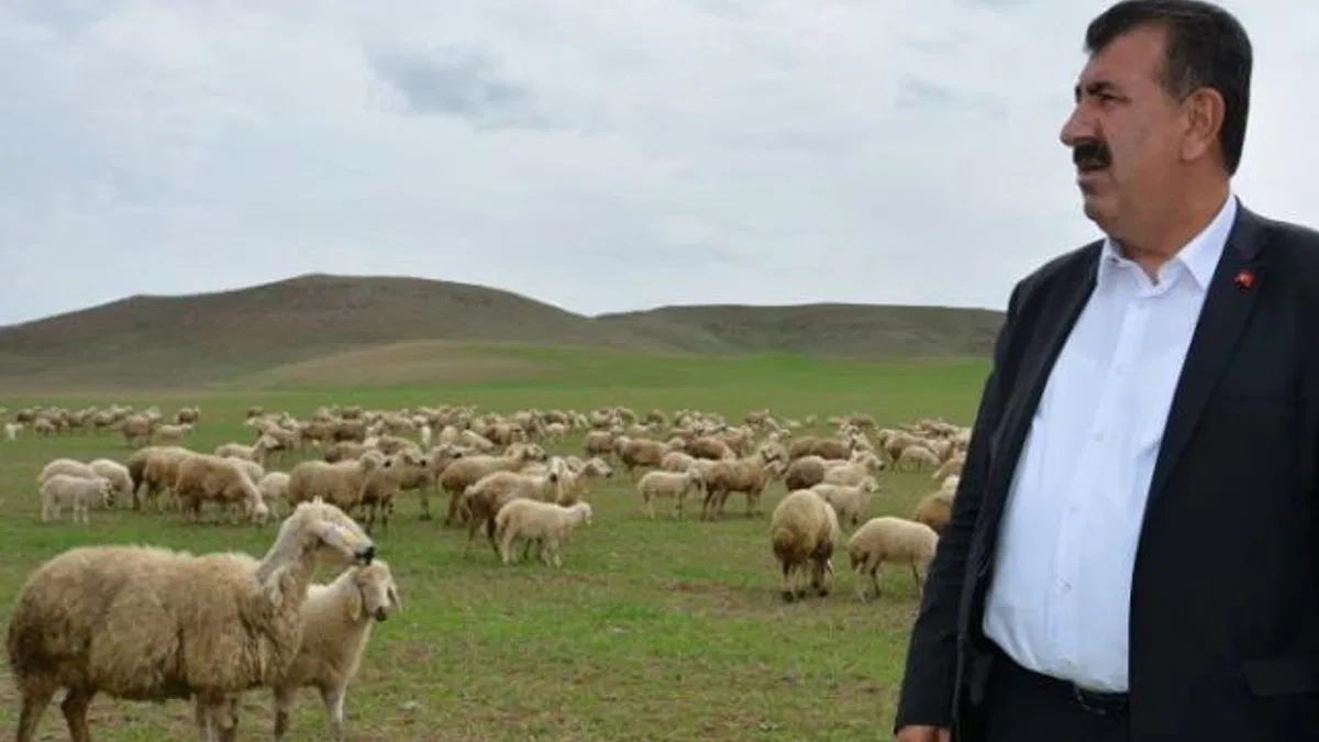 Çevre sorunları küçükbaş hayvancılığı olumsuz etkiliyor