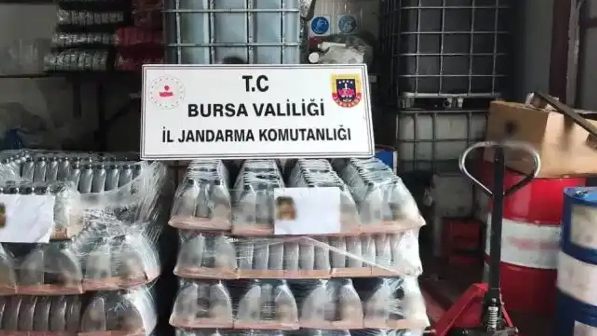 Mudanya’da Jandarma'dan kaçak motor yağı operasyonu