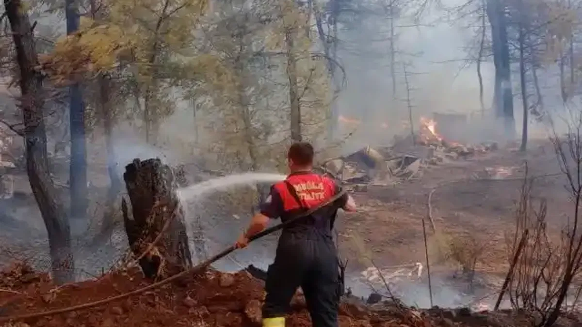 Muğla’da orman yangınlarına koordineli müdahale
