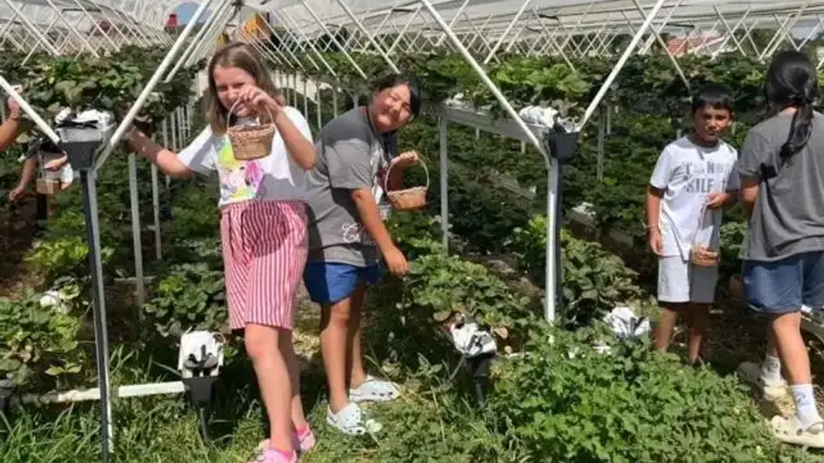 Eskişehir'de Taşlık Doğa Yaz Okulu sona erdi