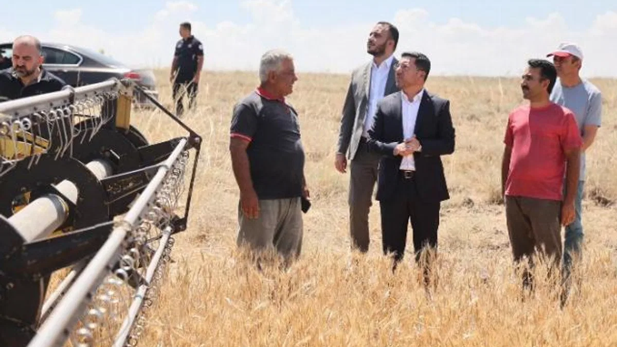 Nevşehir'de hasat zamanı