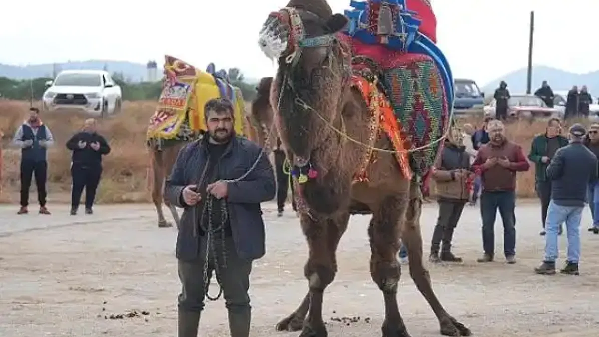 Burhaniye'de geleneksel Havut Hayrı gerçekleştirildi.
