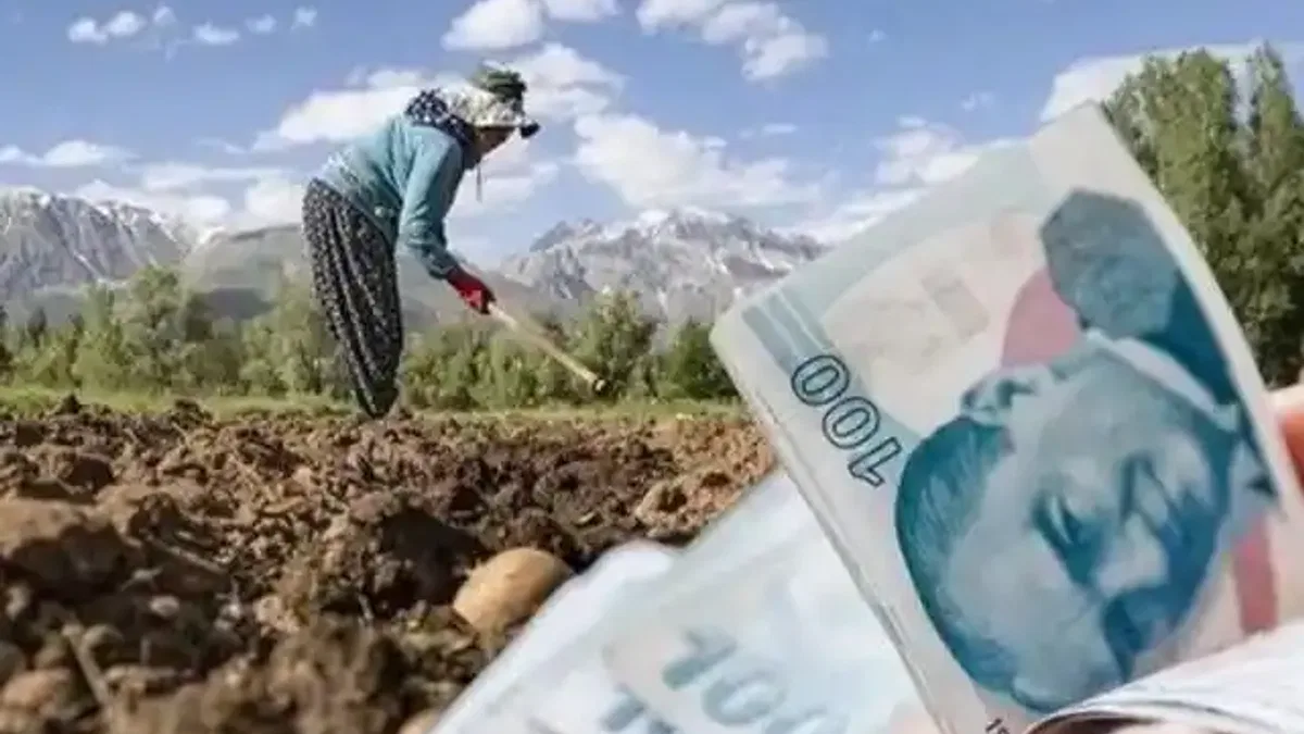 Kooperatiflere 4,5 milyar TL'lik kredi desteği