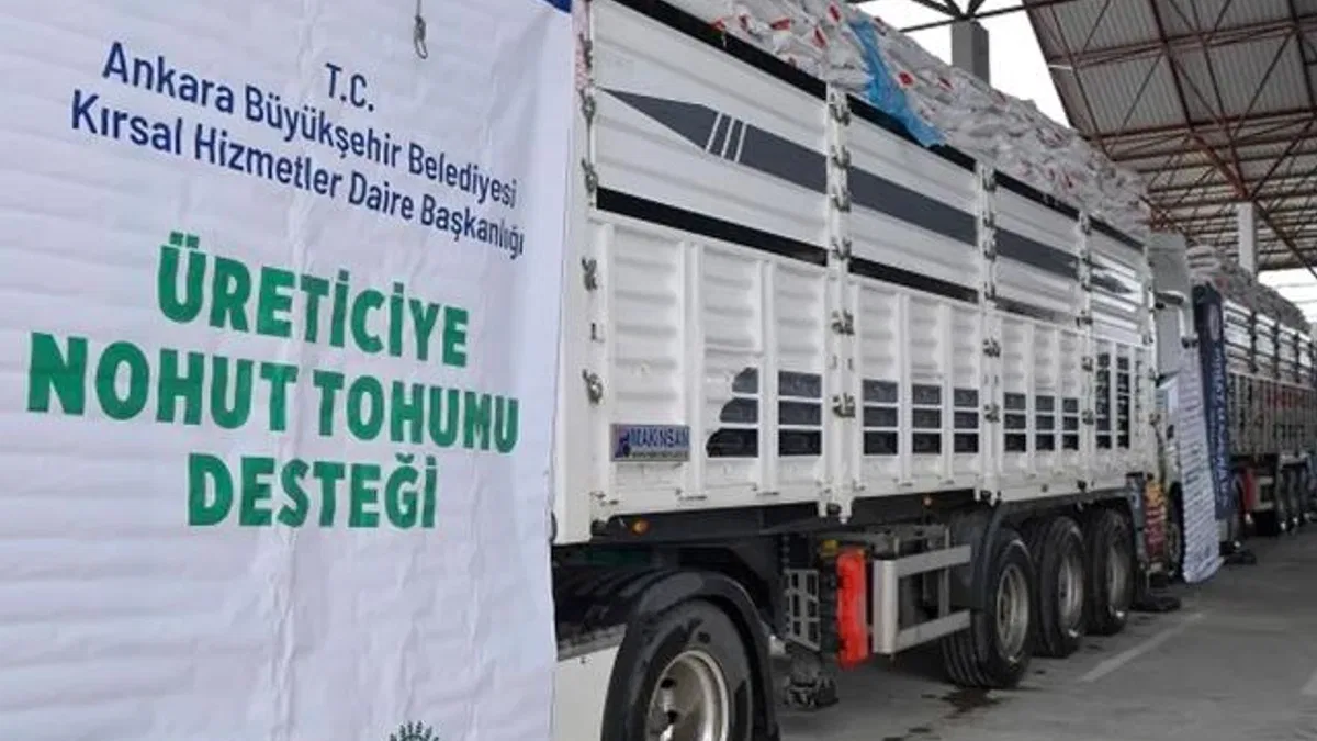 Başkentli üreticiye 1.5 milyonluk nohut tohumu desteği