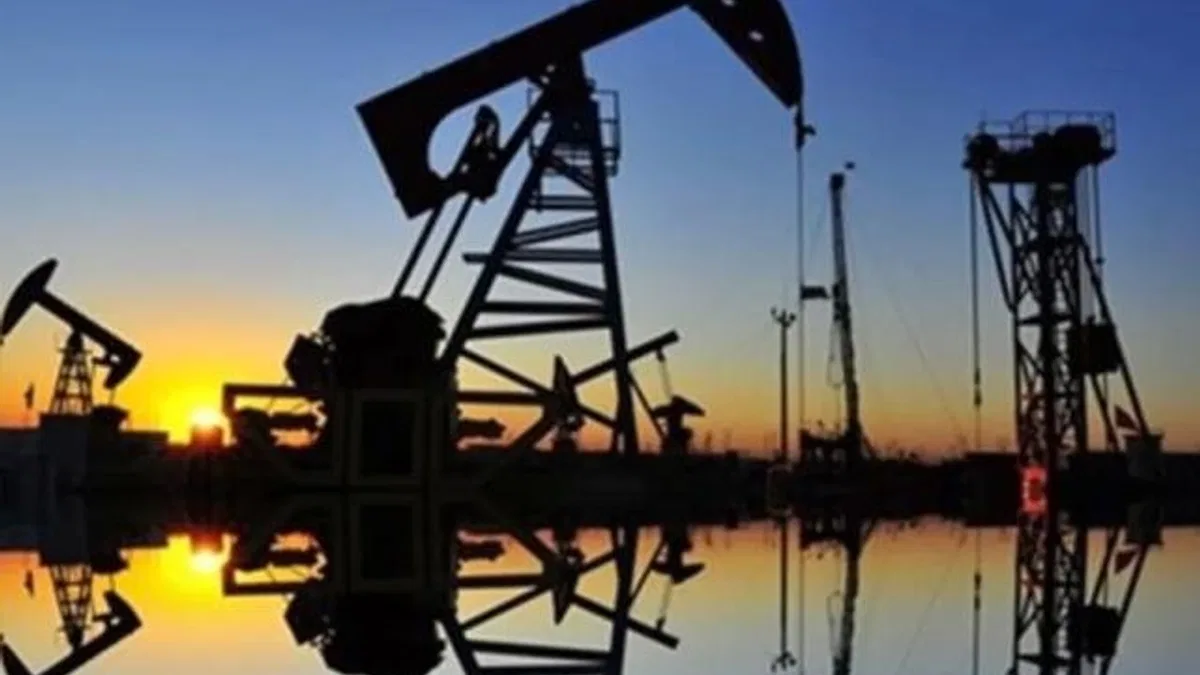 Enerjinin nihai kullanımında en çok petrol tüketildi