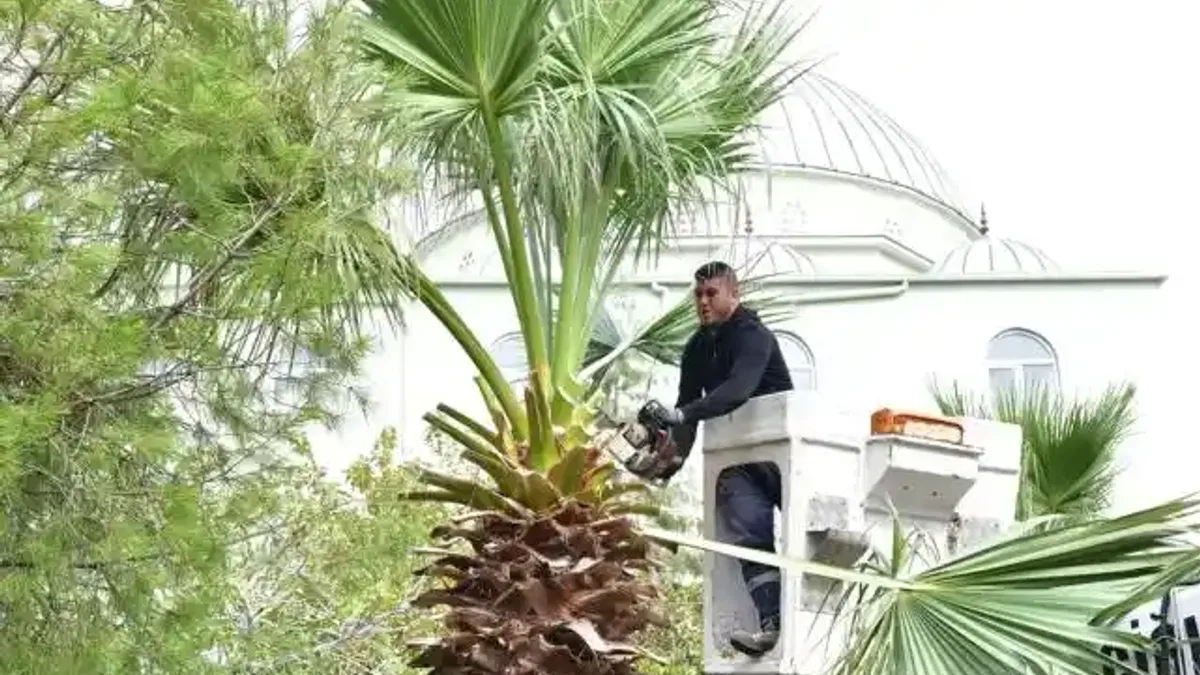 İzmir Çiğli’de sonbahar bakımı