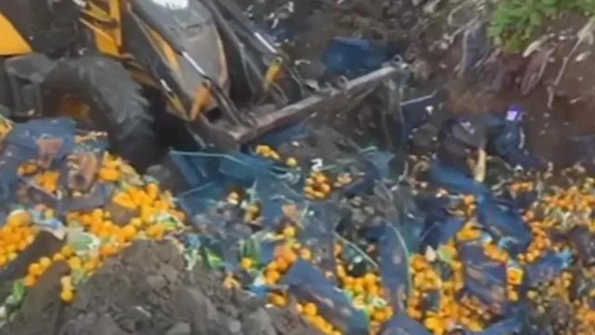Artvin Sarp Sınır Kapısı'nda 6,1 ton mandalina imha edildi!