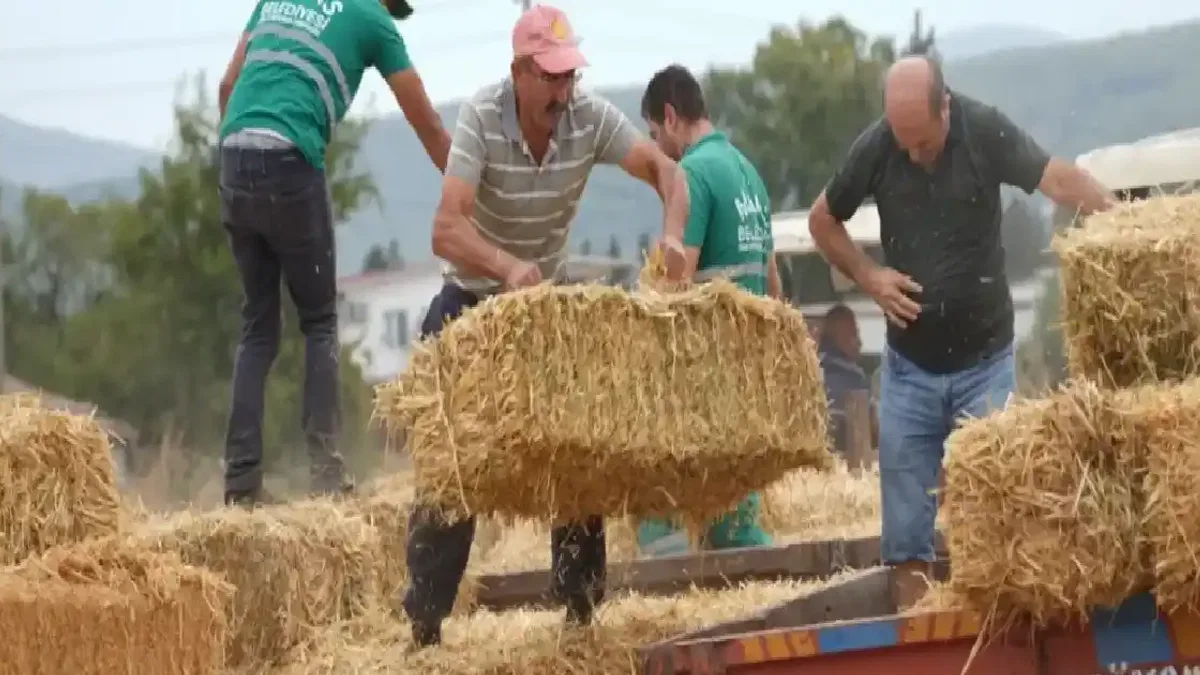 Milas Belediyesi’nden üreticilere destek paketi