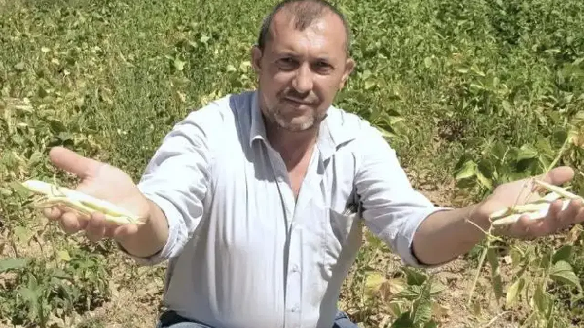 Yenişehirli çiftçiler umduğunu bulamadı